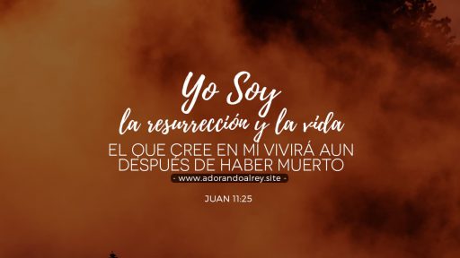 img-juan-11-25 Jesús dijo: Yo soy la resurrección y la vida. El que cree en mí vivirá aun después de haber muerto. — Juan 11:25 RVR1960