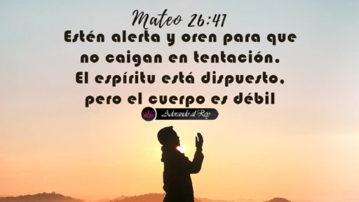 img-mateo-26-41-nvi Mateo 26:41 - La carne es débil